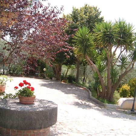 Villa L'Uliveto Montebuono  Exterior foto