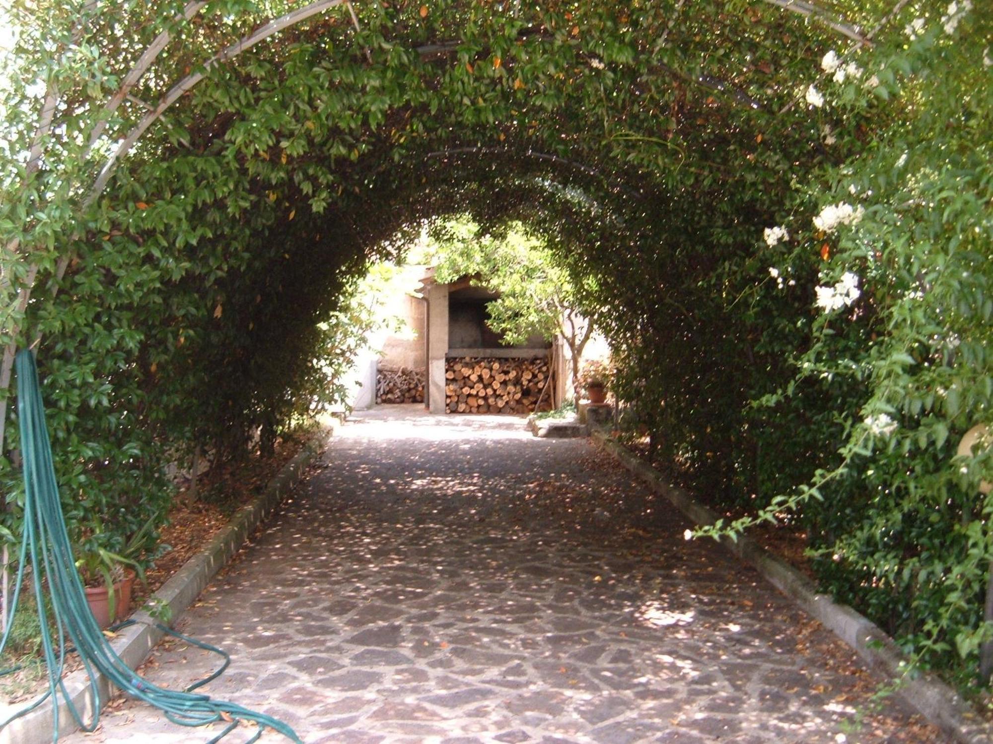 Villa L'Uliveto Montebuono  Exterior foto