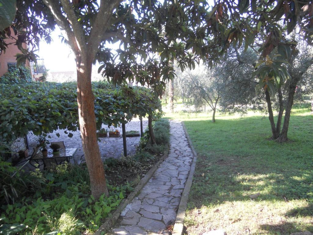 Villa L'Uliveto Montebuono  Exterior foto